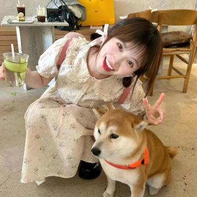 爱在绿风中